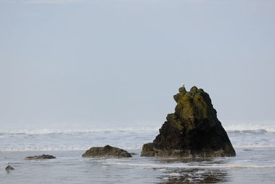 Rock on sea shore against clear sky