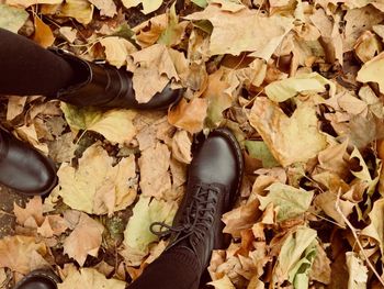 Low section of man with autumn leaves