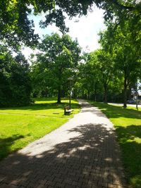 Footpath amidst trees in park