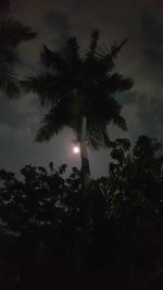 Low angle view of silhouette trees against sky at night