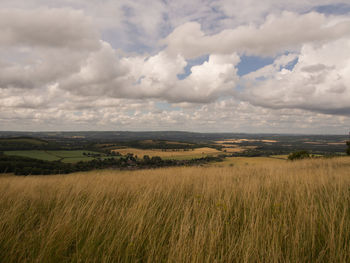 Scenic view of agricultural field against sky