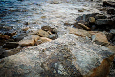 High angle view of rocks on beach