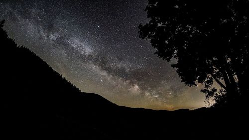 Low angle view of silhouette trees against sky at night