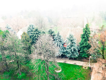 High angle view of plants during winter
