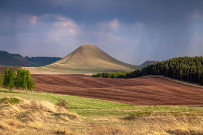 Scenic view of field against sky