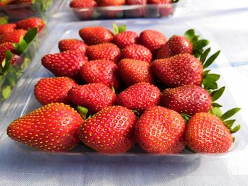 High angle view of strawberries in market