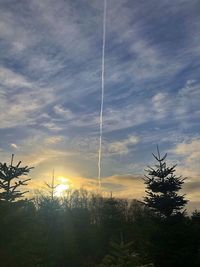 Low angle view of silhouette trees against sky during sunset