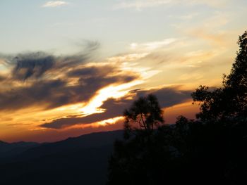 Silhouette trees against sky during sunset