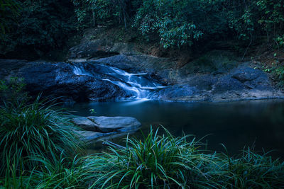 Scenic view of waterfall in forest