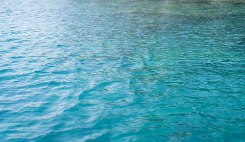 High angle view of swimming in sea