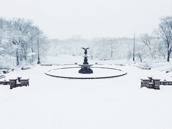 Snow covered trees