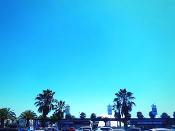 Low angle view of trees and building against blue sky