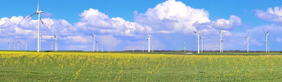 Panoramic view of field against sky