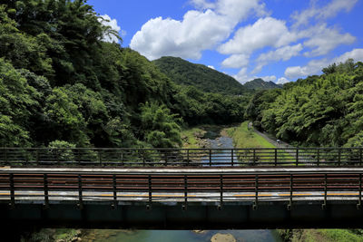 Bridge by trees against sky