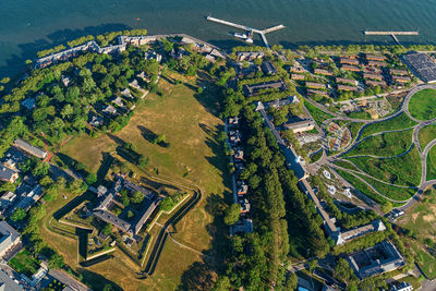 High angle view of trees and buildings in city