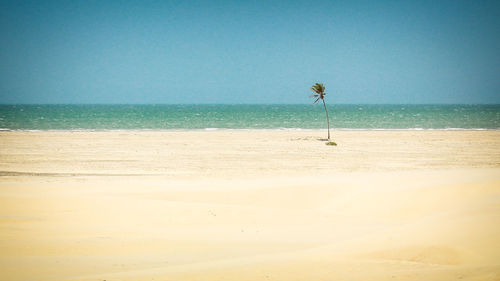 Scenic view of beach against clear sky