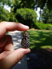 Cropped hand holding small pineapple against trees