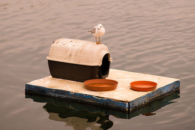 Seagull perching on container over raft in sea