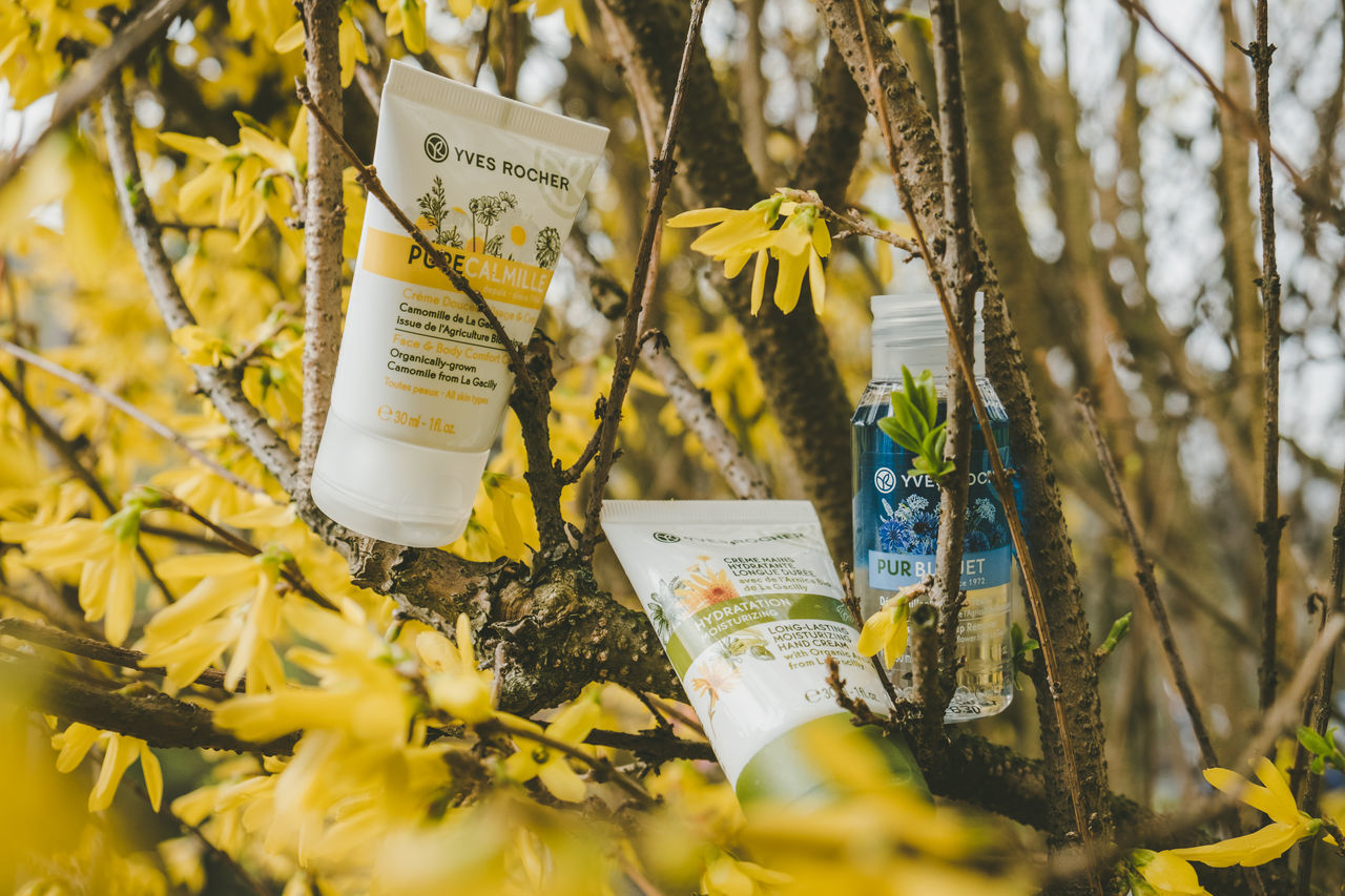 plant, communication, text, selective focus, flower, flowering plant, nature, no people, yellow, non-western script, script, day, paper, label, close-up, western script, information, container, publication, beauty in nature, message