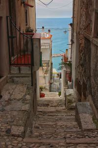Narrow alley amidst buildings in town