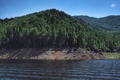 Scenic view of river amidst trees against sky