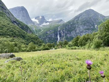 Scenic view of meadow and mountains