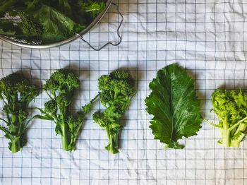 Close-up of fresh vegetables