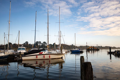 Sailboats moored in harbor