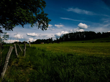 Scenic view of field against sky