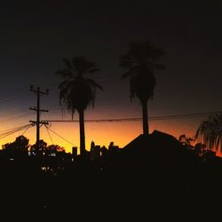 Low angle view of palm trees against sky at sunset
