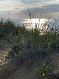 Scenic view of sea against sky during sunset