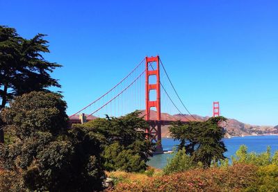 Golden gate bridge against clear blue sky