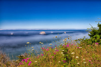 Scenic view of lake against blue sky