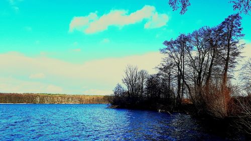 Scenic view of bare trees against blue sky
