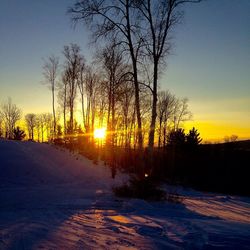 Bare trees on landscape at sunset