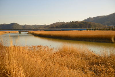 Scenic view of lake against clear sky