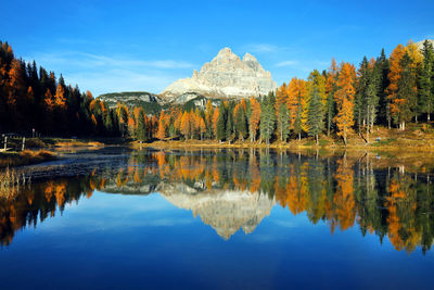 Reflection of trees on lake during autumn