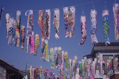 Colorful traditional koi carp streamers hanging for children's day in japan