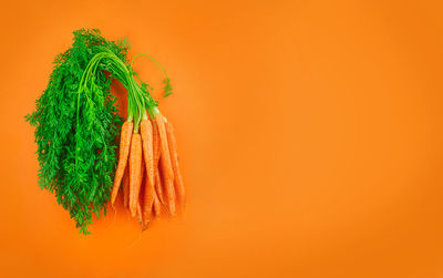 Close-up of fresh orange over white background