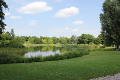 Scenic view of grassy landscape