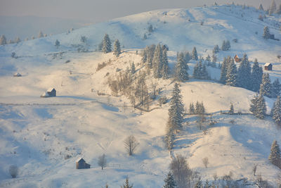 Aerial view of snow covered mountain