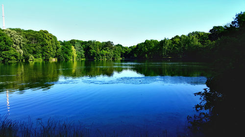 Reflection of trees in calm lake