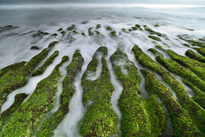 High angle view of surf on beach