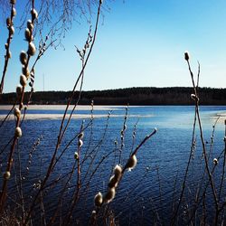 Calm lake against clear sky