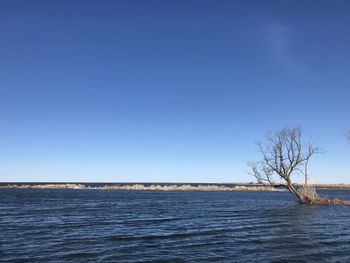 Scenic view of sea against clear blue sky