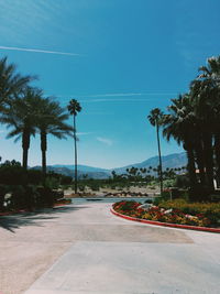 Road by palm trees against sky in city