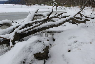 Scenic view of snow covered field