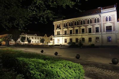 Buildings and trees in city at night