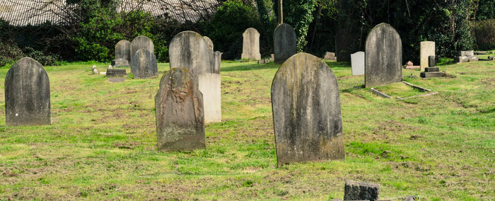 Tombstones on grassy field