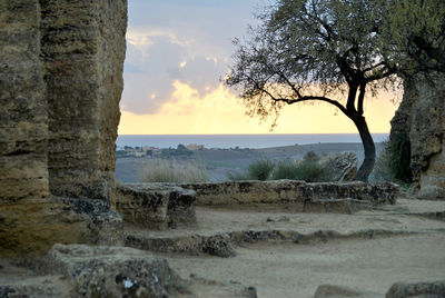 Scenic view of landscape against sky during sunset